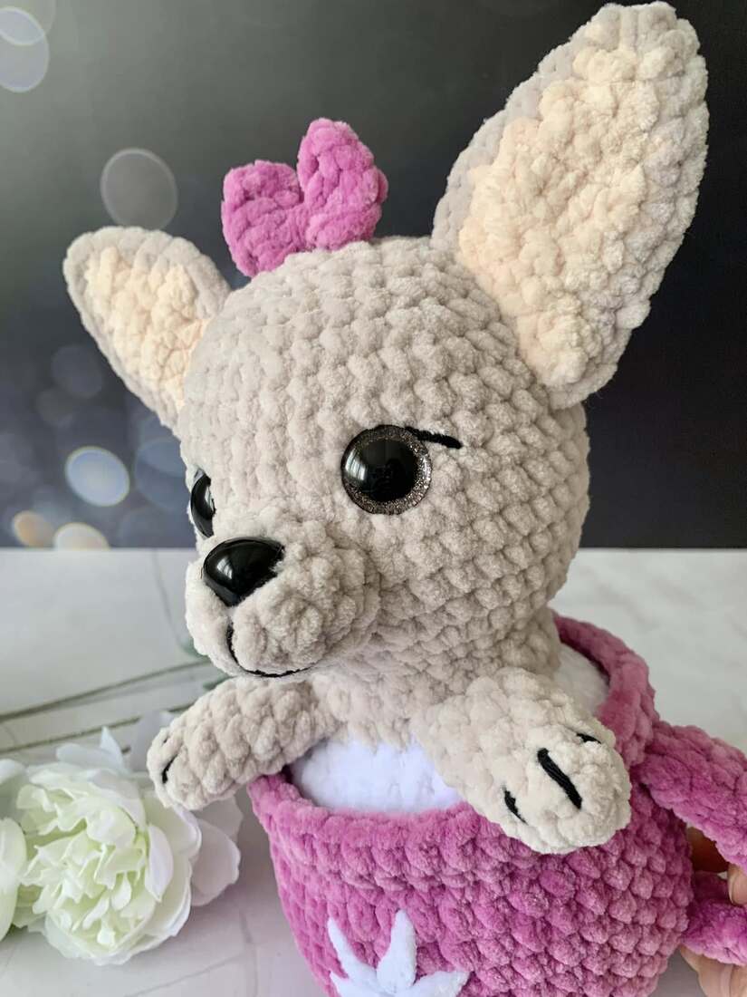 Chihuahua dans sa tasse Les mailles calines