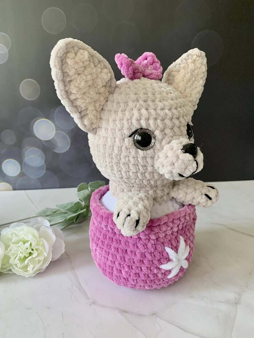 Chihuahua dans sa tasse Les mailles calines