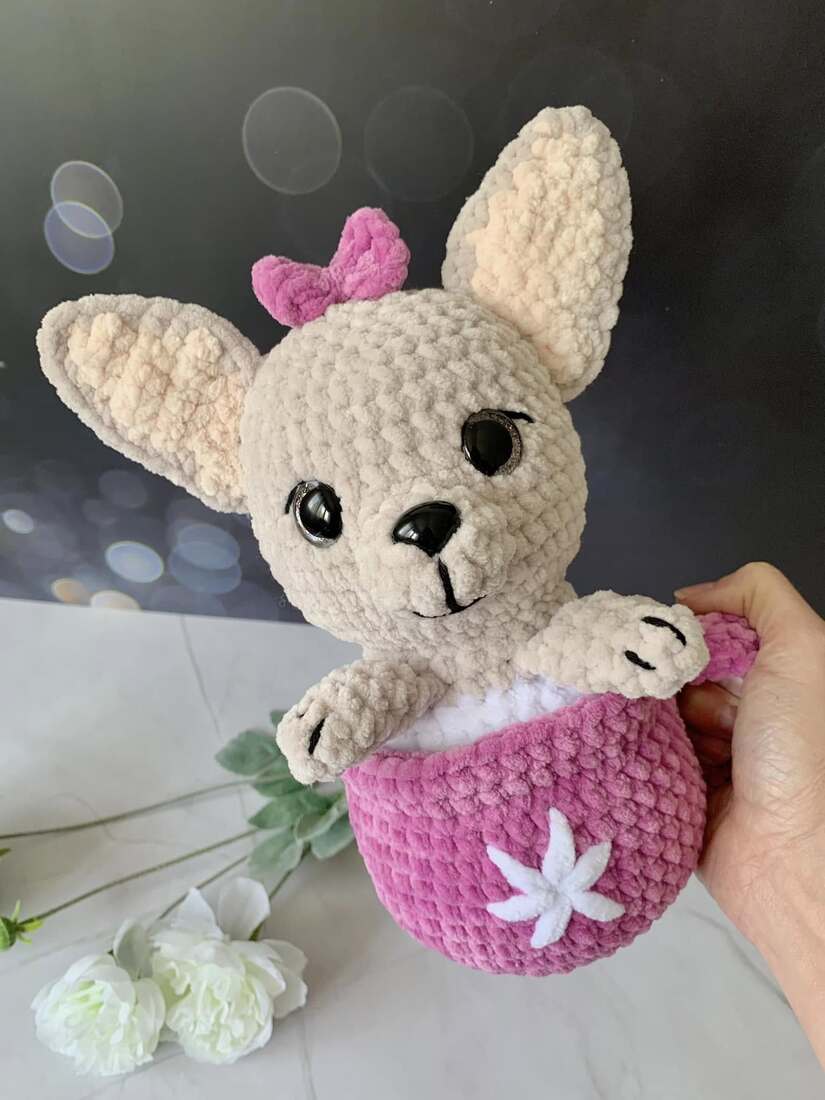 Chihuahua dans sa tasse Les mailles calines