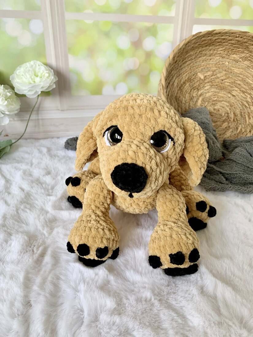 Golden retriever - Koko Les mailles calines