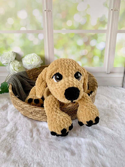 Golden retriever - Koko Les mailles calines