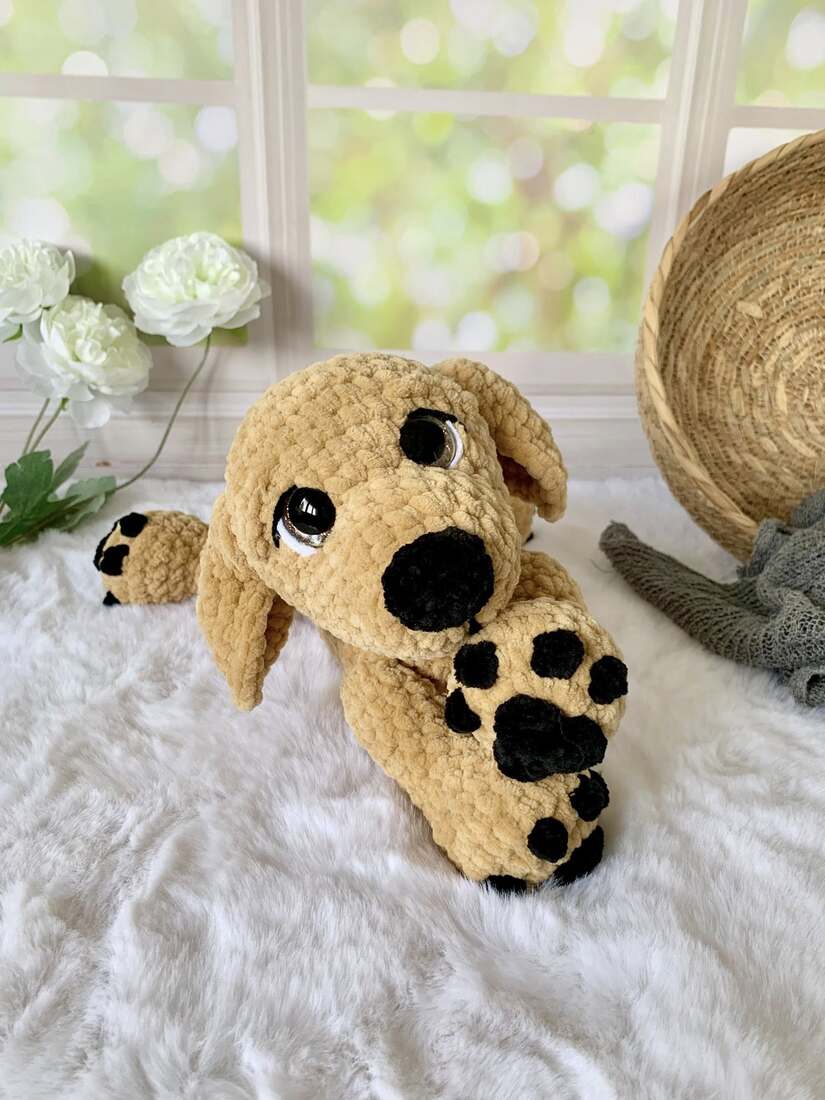 Golden retriever - Koko Les mailles calines