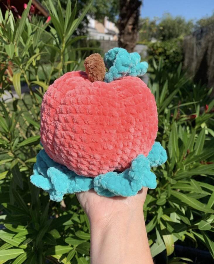 Citrouille Les mailles calines