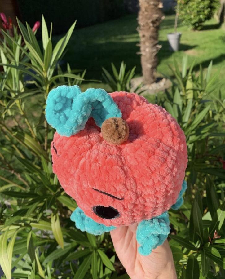 Citrouille Les mailles calines