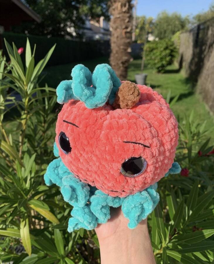 Citrouille Les mailles calines