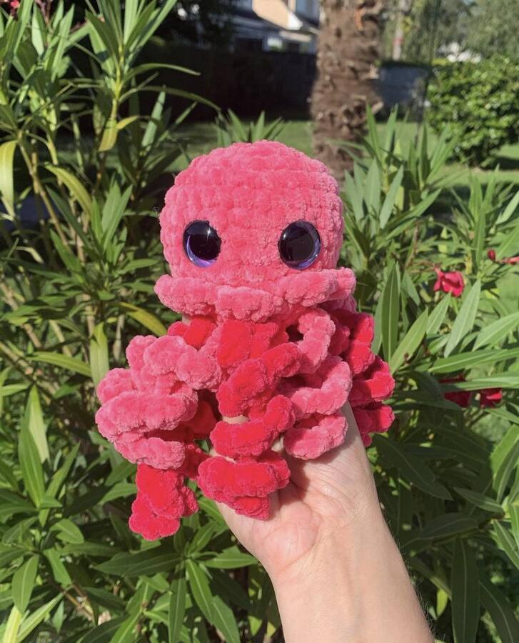 Méduse - Les Mailles Calines